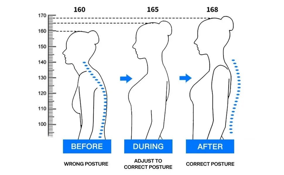 Back Posture Corrector Belt